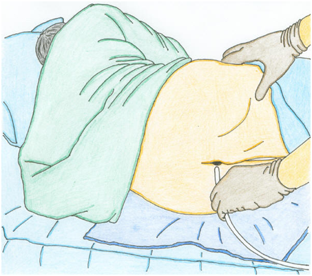 Basti at Orient Crystal